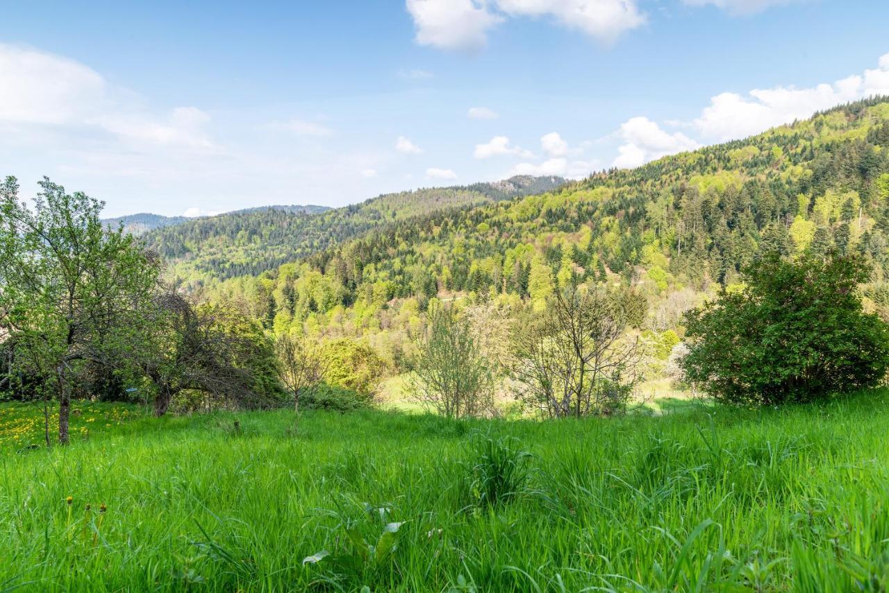 Ferienwohnung Fasse Bühlertal Eksteriør bilde